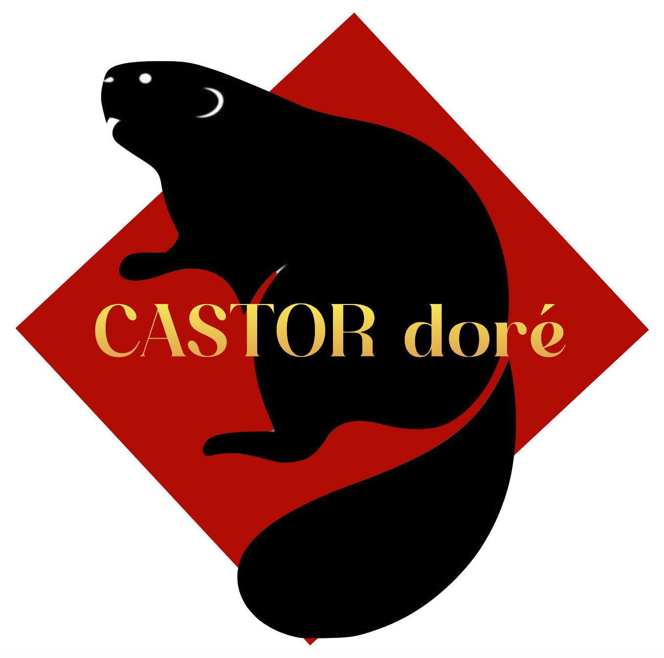 L’image actuelle n’a pas de texte alternatif. Le nom du fichier est : Capture-decran-2025-09-20-a-16.00.39-1.png